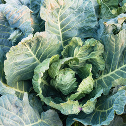 Similar image 20738052