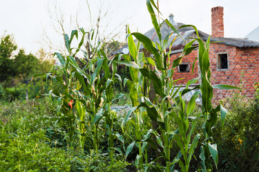 Similar image 20738058