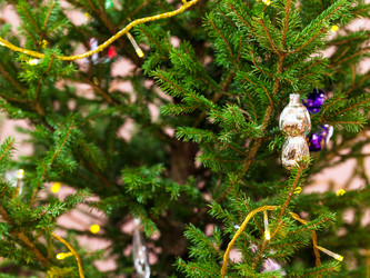 Similar image 20738082