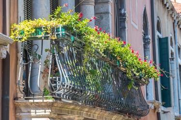 Similar image 20737181