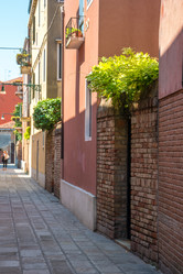 Similar image 20737194