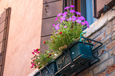 Similar image 20737199