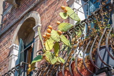 Similar image 20737209