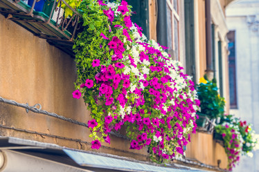 Similar image 20737211