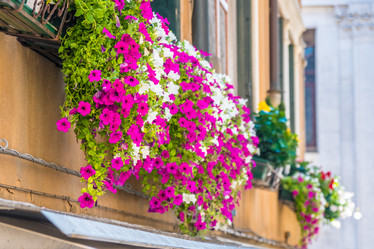 Similar image 20737214