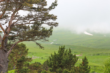 Similar image 20735559