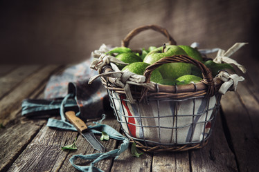 Similar image 20736606