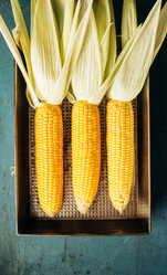 Similar image 20736613