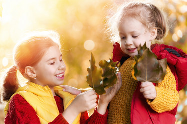 Similar image 20735178