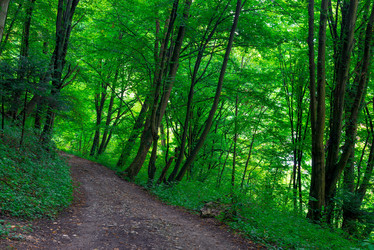 Similar image 20749258