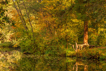 Similar image 20749273