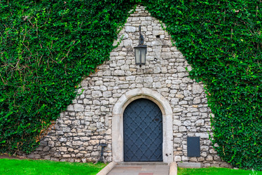 Similar image 20749299