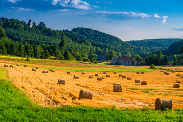 Similar image 20749343