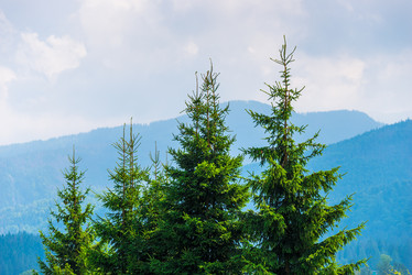 Similar image 20749410