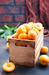 Similar image 20750010