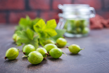 Similar image 20750024