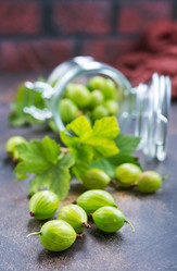 Similar image 20750027