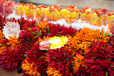 Similar image 20749459