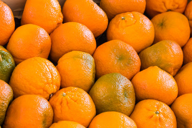 Similar image 20749463