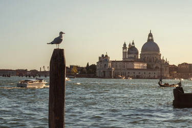 Similar image 20749520