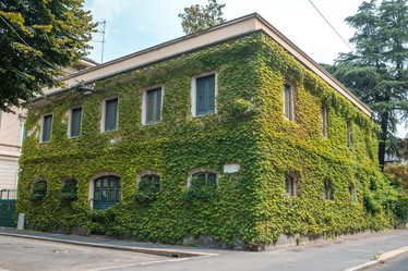 Similar image 20749576