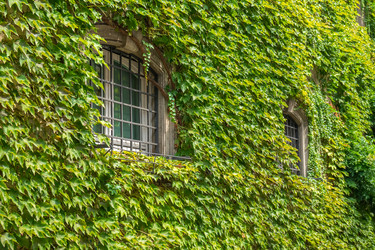 Similar image 20749578