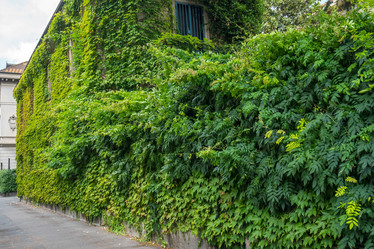 Similar image 20749582