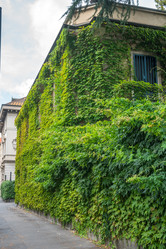 Similar image 20749584