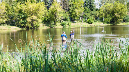 Similar image 20750376