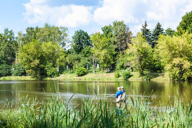 Similar image 20750379