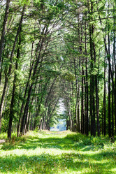 Similar image 20750381