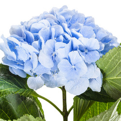 Similar image 20750389