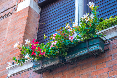 Similar image 20750531