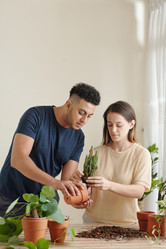 Similar image 20777993