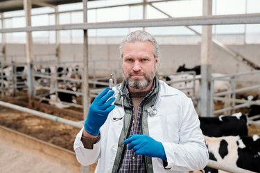 Similar image 20778379