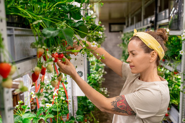 Similar image 20777141