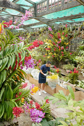 Similar image 20768969