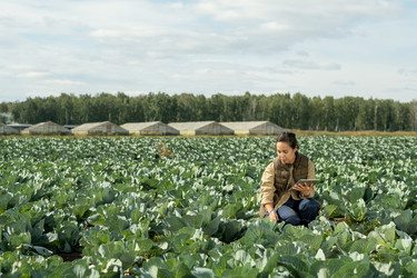 Similar image 20764113