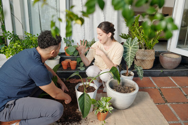 Similar image 20771739