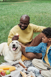 Similar image 20763106