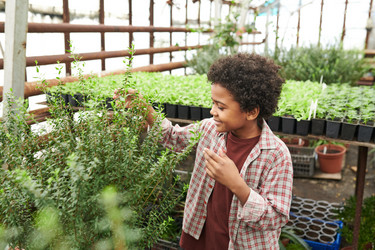 Similar image 20776303