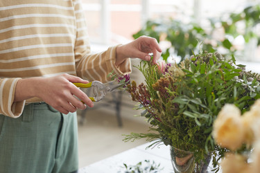 Similar image 20778930