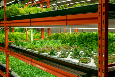 Similar image 20757530