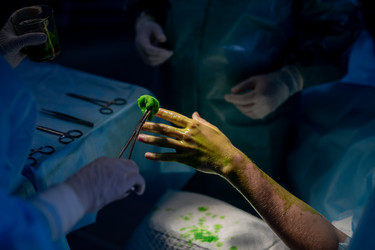 Similar image 20775041