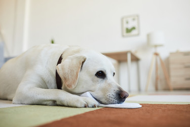 Similar image 20779839