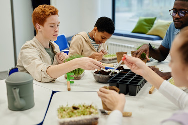 Similar image 20764057