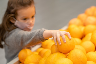 Similar image 20753515