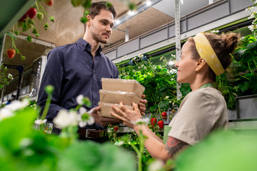 Similar image 20768291