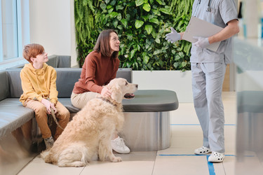 Similar image 20763647