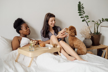 Similar image 20752440